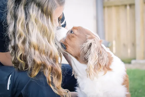 Team member nuzzling a spaniel at Smithers Animal Hospital